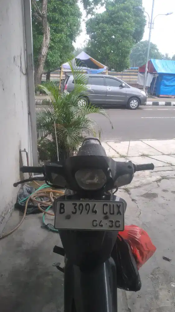 Shogun kebo mesin msh oke bgt