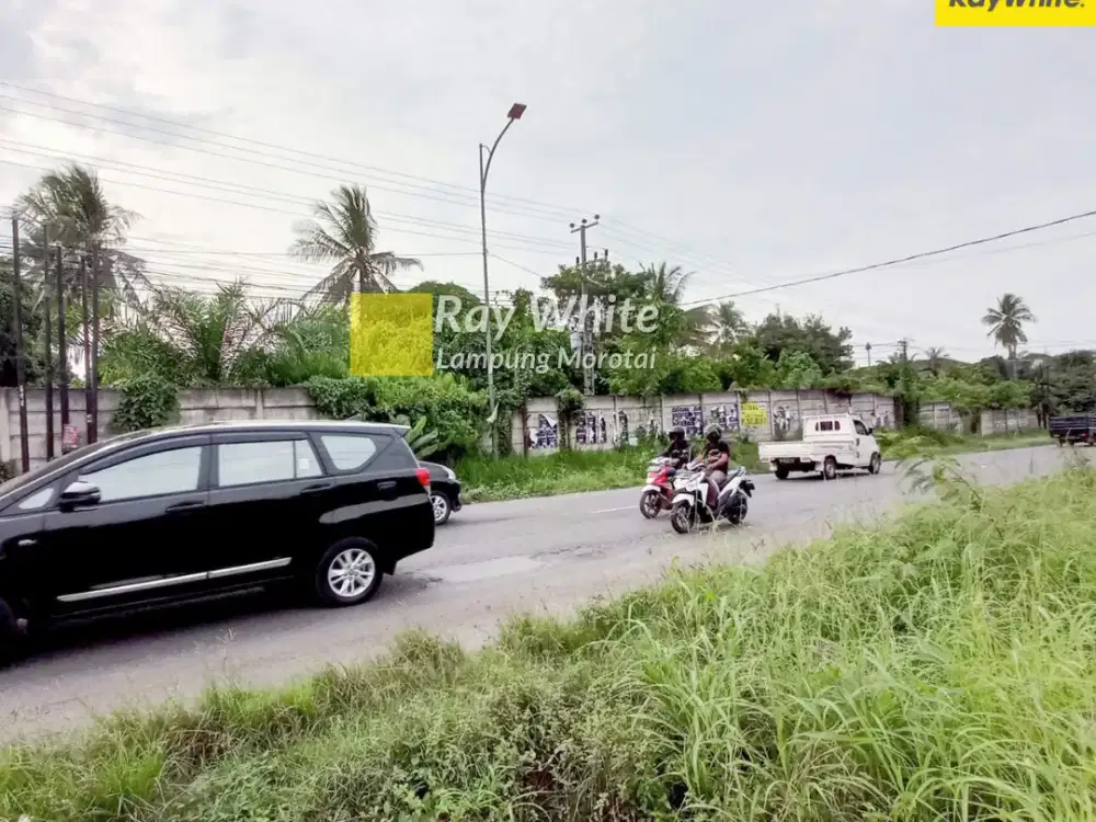 Dijual Tanah di Seputih Jaya, Lampung Tengah (Kode : AY 3568)