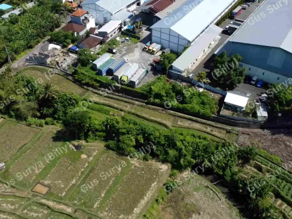 DI JUAL TANAH STRATEGIS DI BADUNG BALI  Dekat Area Komersial | Investasi Menjanjikan | Harga Terus Naik!