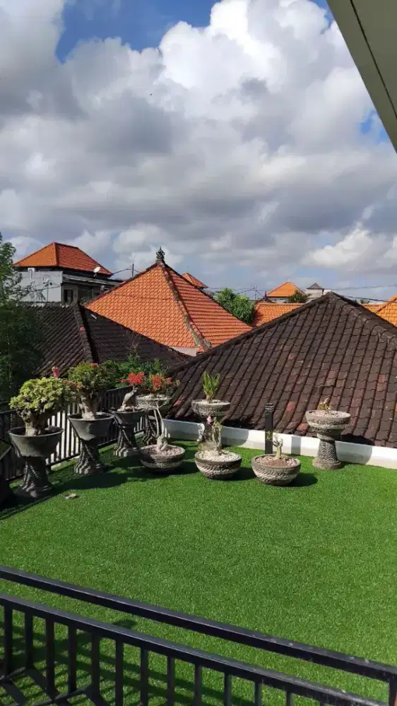 Rumput sintetis murah