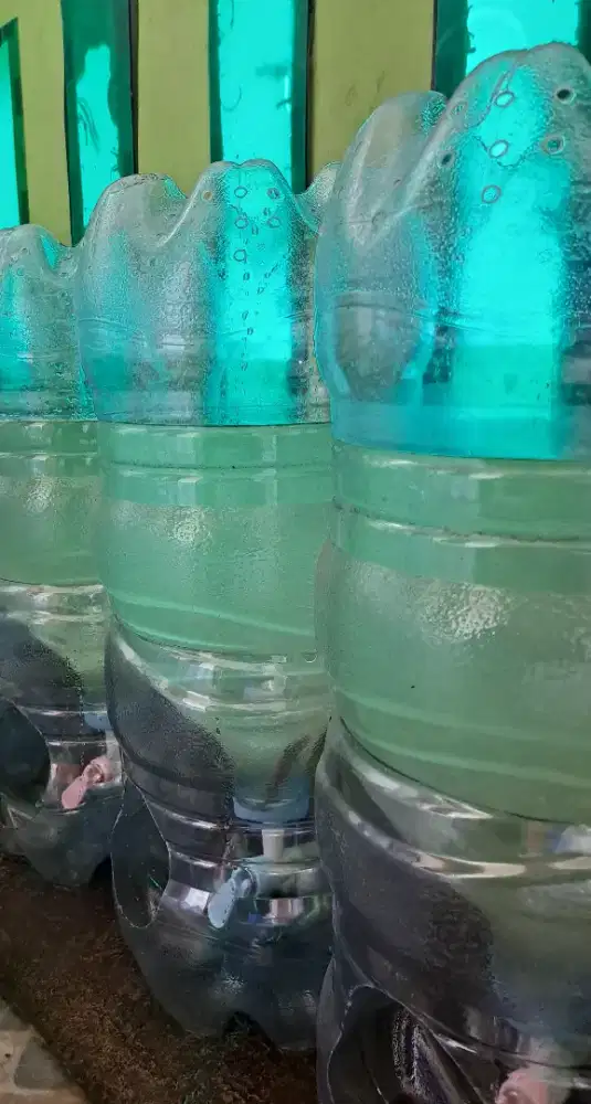 Galon Bekas untuk Budidaya Ikan