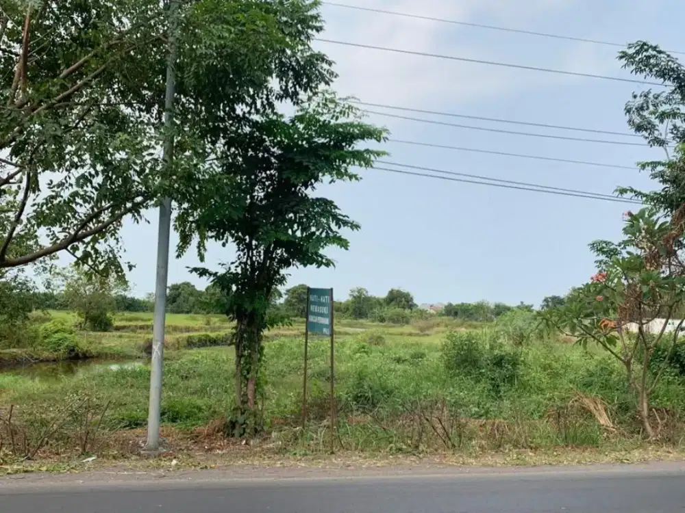 Dijual Tanah Buduran Nol Jalan Raya Lingkar Timur Sidoarjo