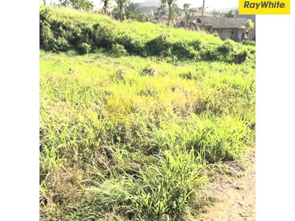 Dijual Tanah di Sukabumi, Bandar Lampung (Kode : AY 3569)