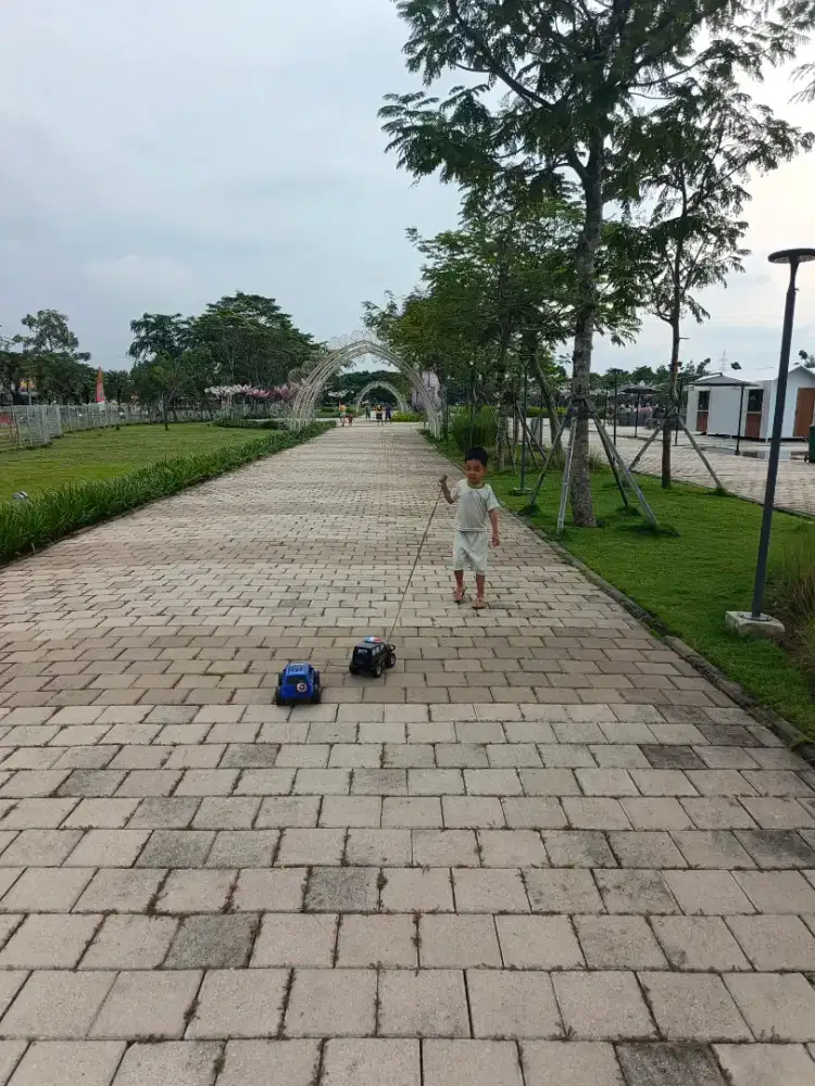 Asisten Rumah Tangga