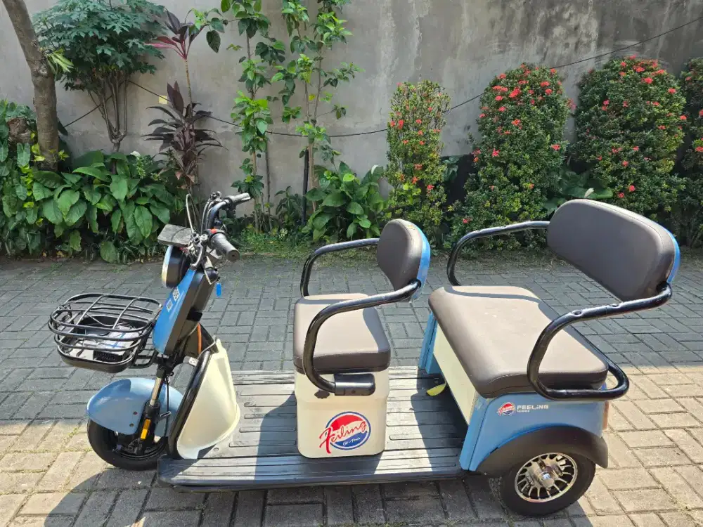 Sepeda listrik roda 3 tinggal pakai