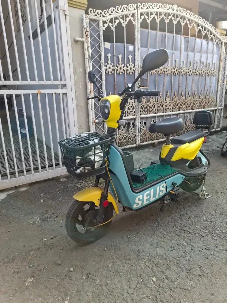 SELIS KENARI 2023 (NEGO)