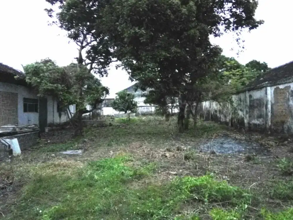 Dijual Tanah Komersial Strategis Nol Jalan Raya Puger, Jember