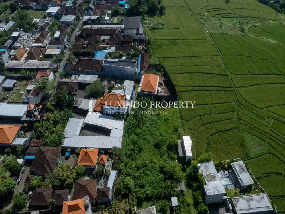 DISEWAKAN 23 TAHUN TANAH 7 ARE DI BUDUK, BALI