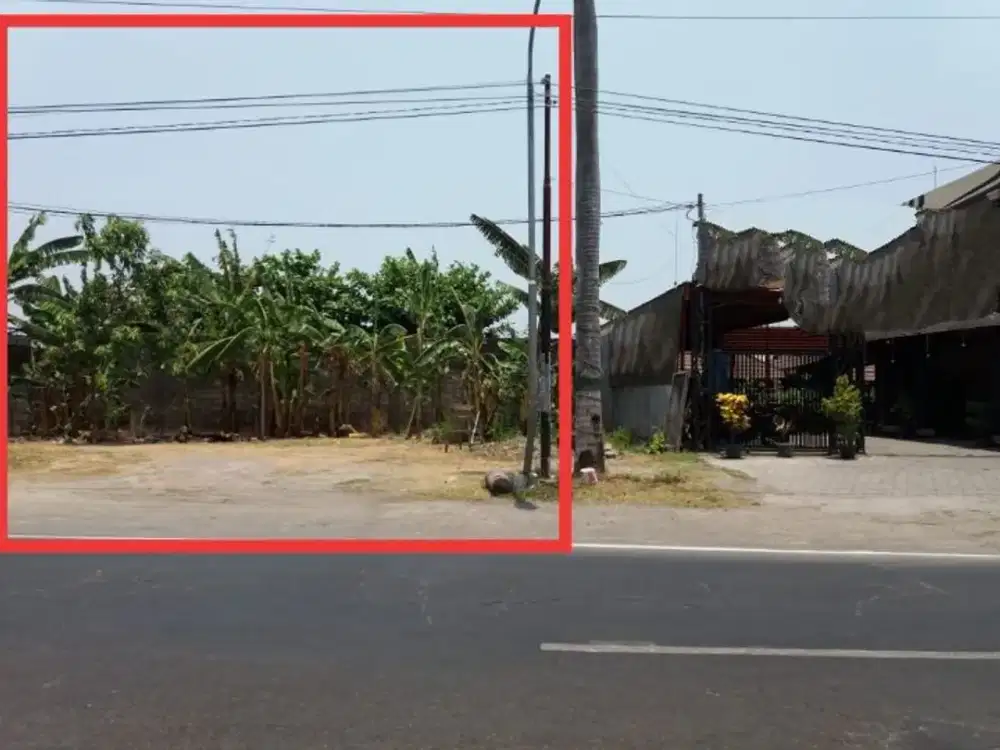 Tanah Luas 323 Nol Jalan Raya Cocok Investasi di Jombang