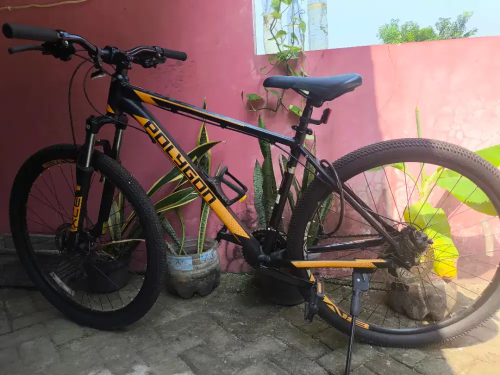 Polygon Cescade 2