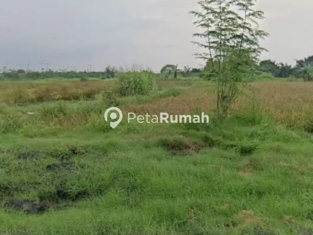 DIJUAL TANAH JALAN MEDAN LABUHAN KAMPUNG BESAR (HANNY)