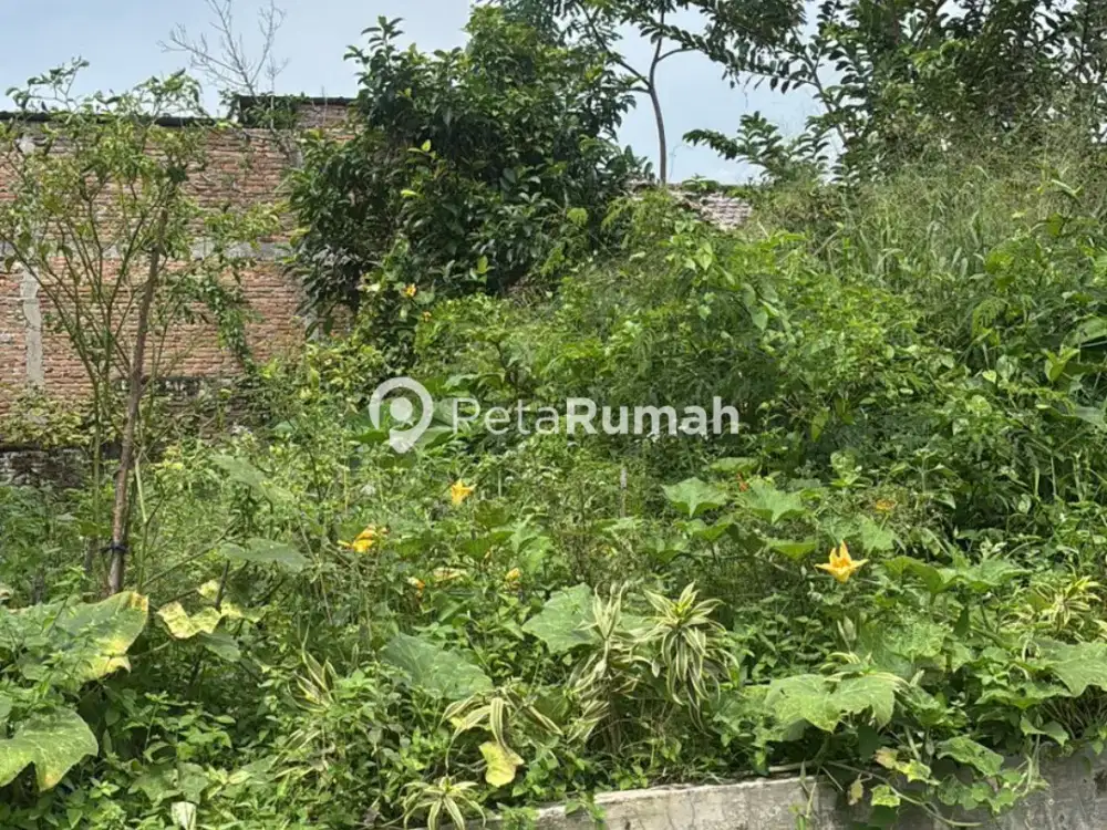 DIJUAL TANAH JALAN BUNGA PANCUR GANG TARIGAN   (ANSHAR)