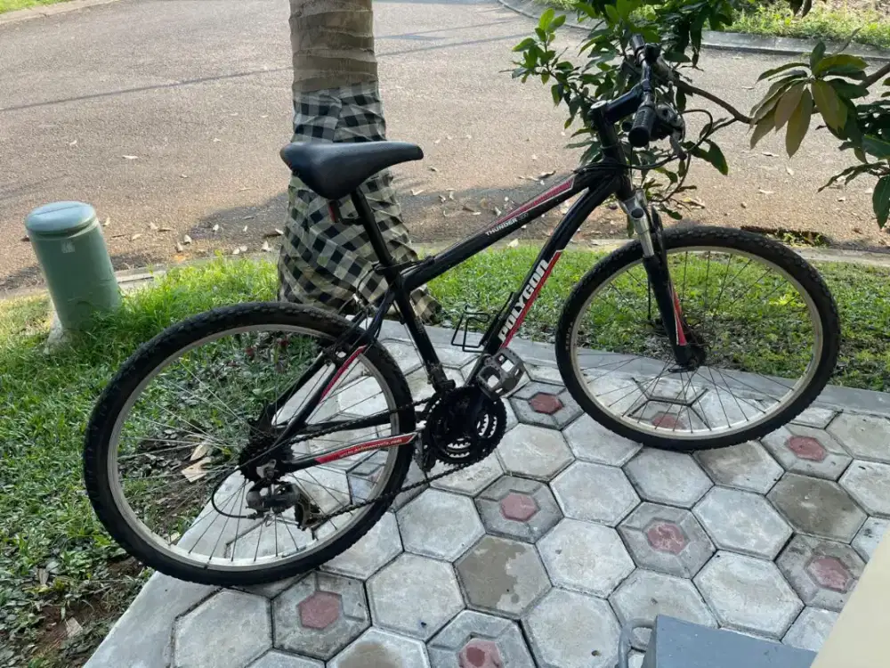 Sepeda Gunung Polygon Thunder 300 cakram uk 26