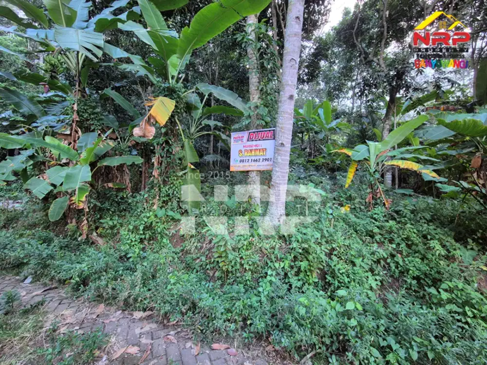 Dijual Tanah Kebun Murah 100 Jutaan di Desa Jelun, Glagah - Banyuwangi