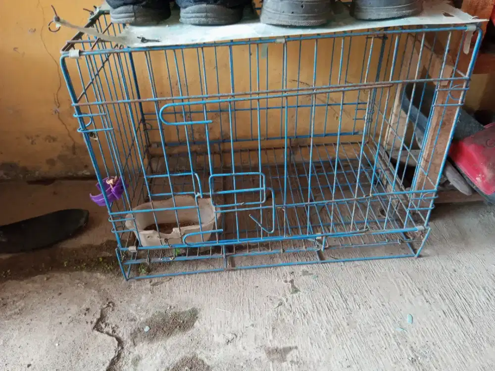 Kandang kelinci , kucing ,anjing dll