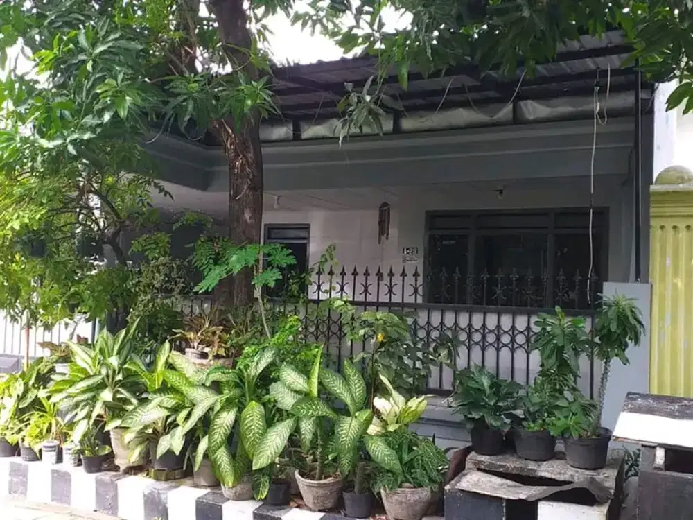 Dijual Rumah di Rungkut Menanggal Harapan selangkah ke Raya MERR