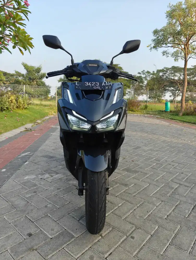 Vario ABS 160 mulus