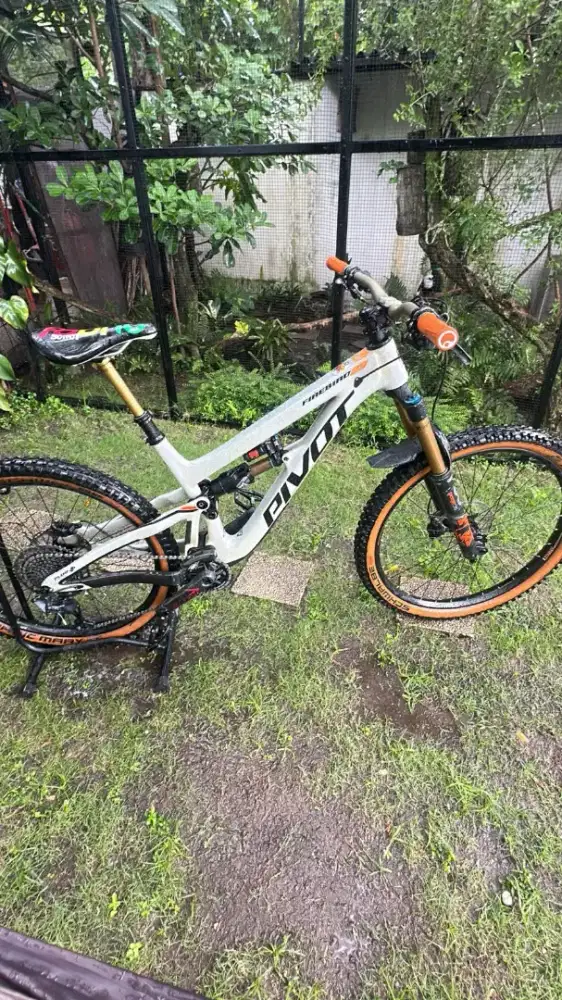 Pivot fire bird29 tahun 2021
