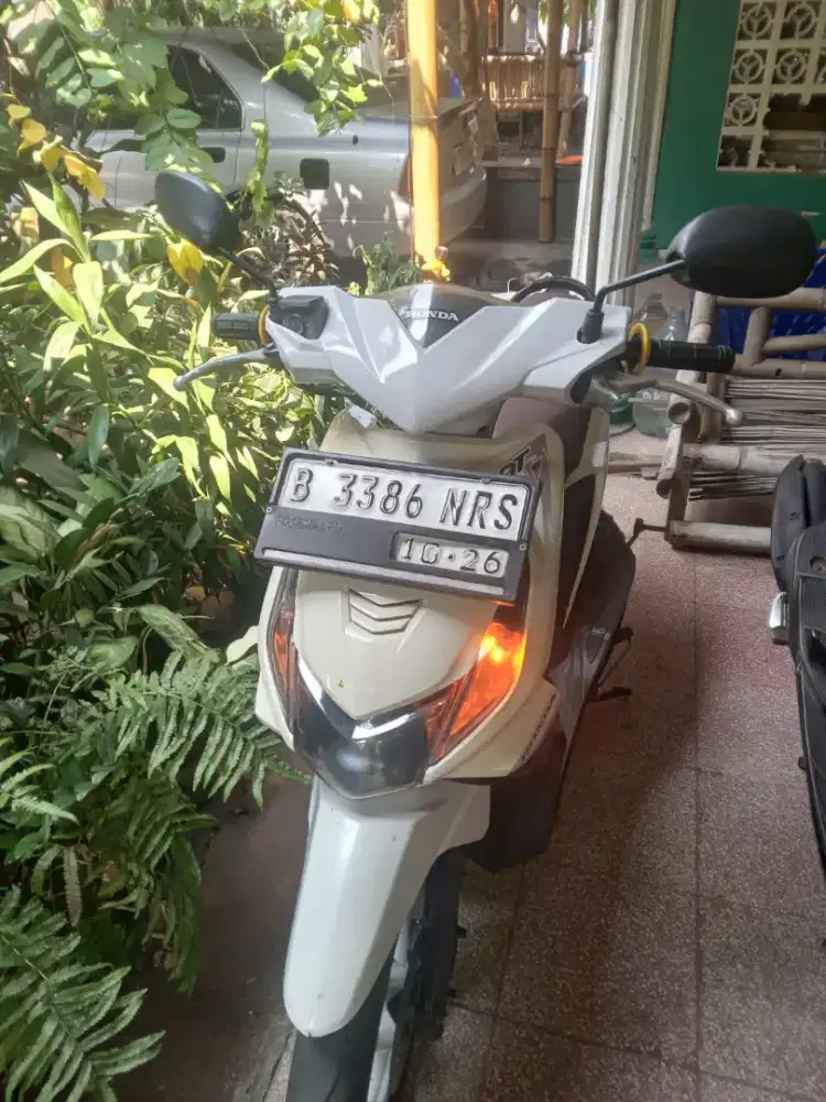 Beat carbu pajek hidup