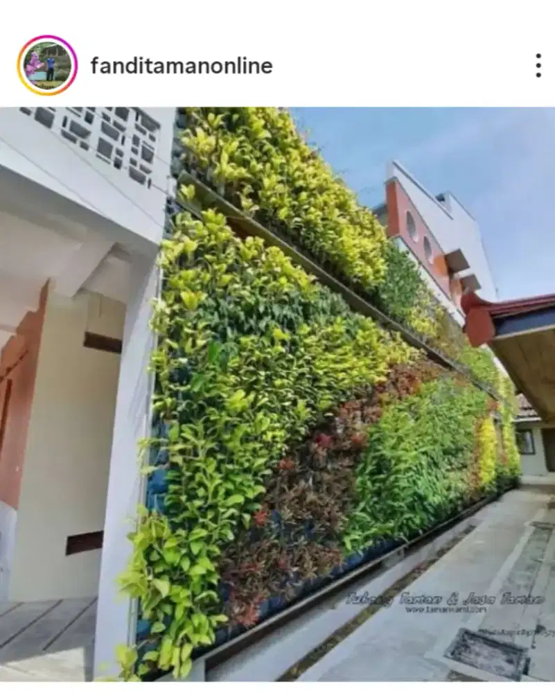 Jasa pembuatan taman vertikal garden