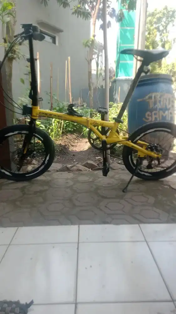 Seli masih mulus