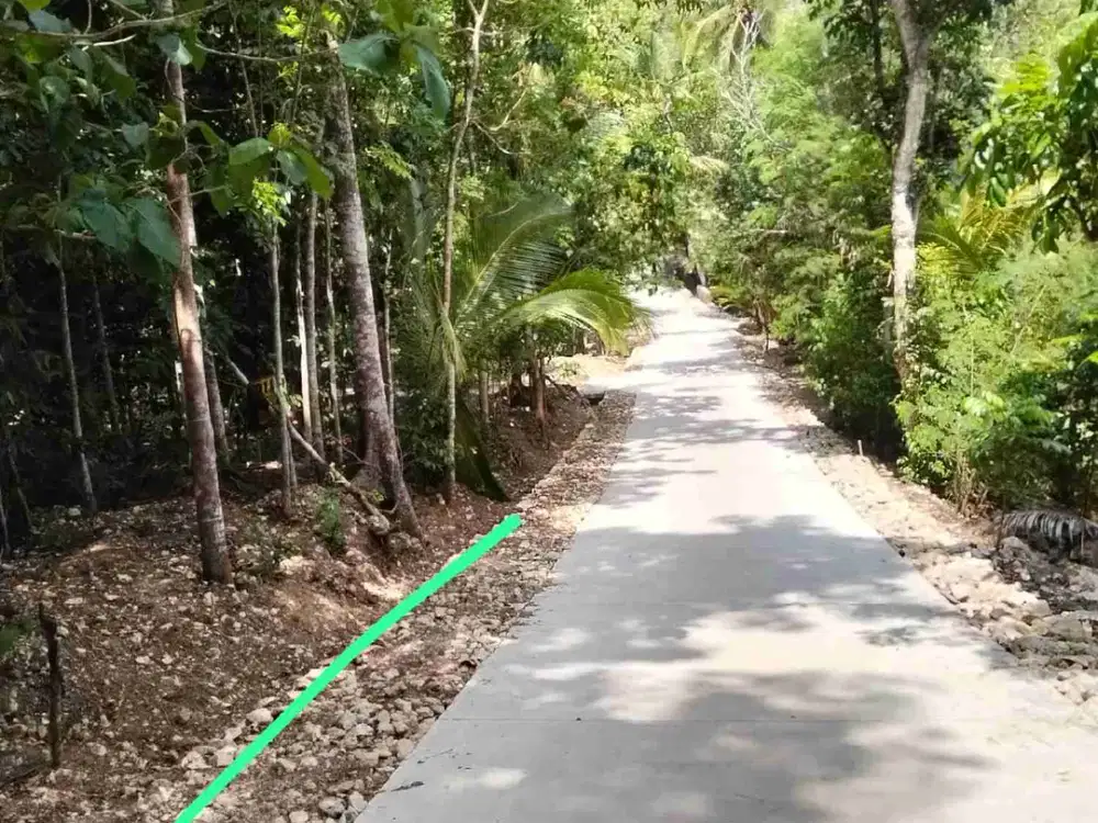 Tanah Dijual di Cerme panjatan Kulon Progo