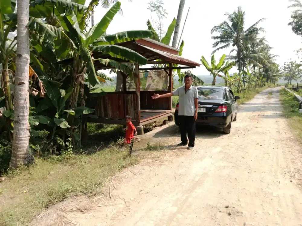 Jual tanah di Panjatan Kulonprogo