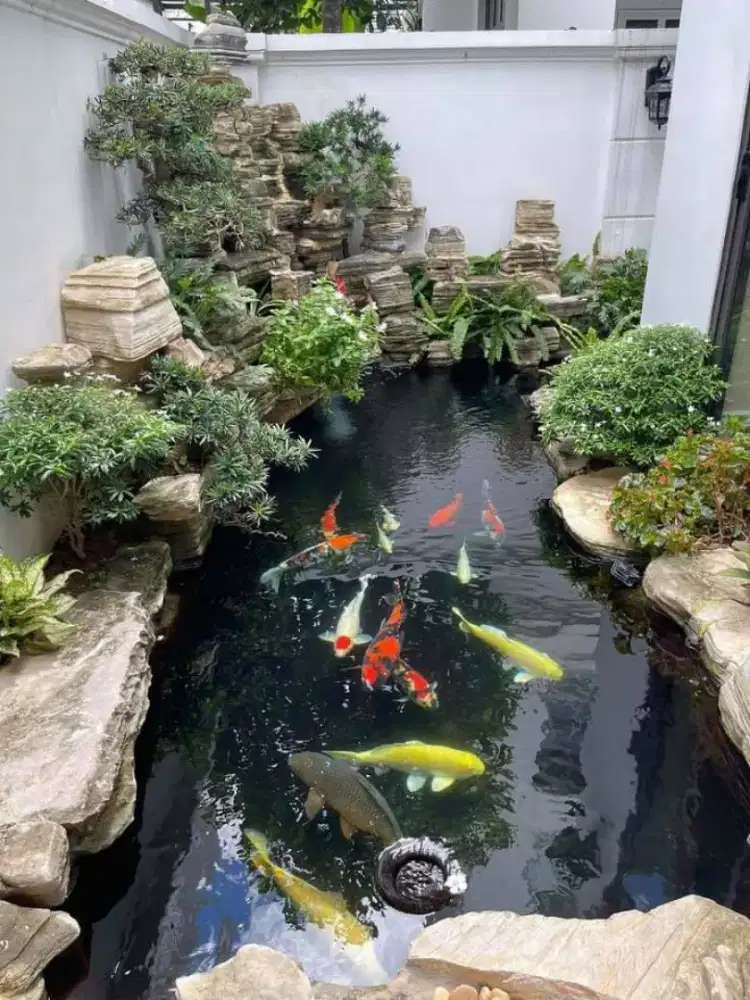 Jasa pembuatan kolam air mancur kolam ikan koi kolam relif dll #12