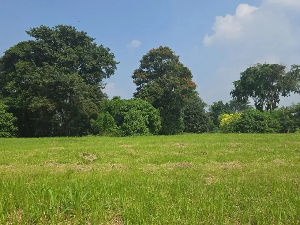 Kavling Premium Paramount Hill Golf Gading Serpong – View Golf, Lokasi Elite
