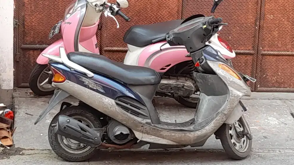 Jual kymci. Metica. Warba niru