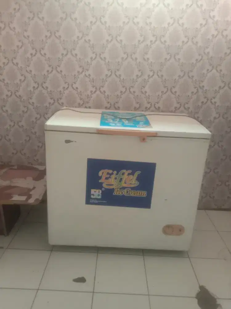 Frezee box  sharp 300 liter