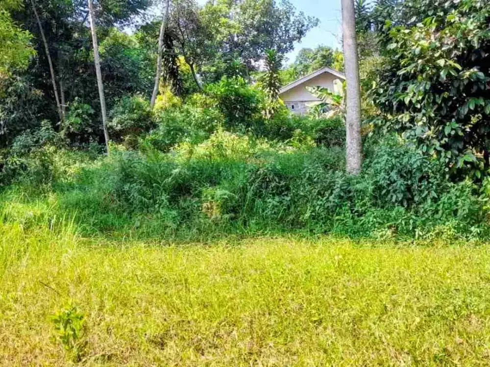 Tanah Kebun Murah di Bogor
