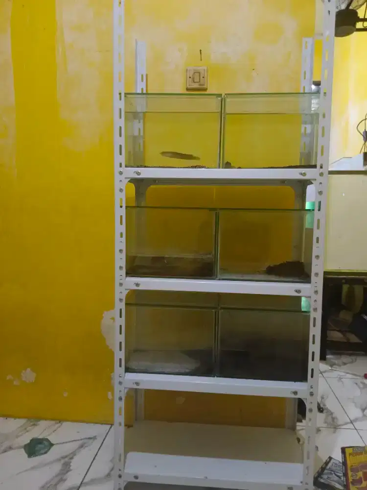 Akuarium + Tutup kaca 6pcs dan Rak siku 4 susun
