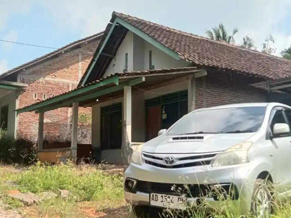 Tanah Kampung Murah COcok Untuk Investasi di Mangunsari Gunungpati