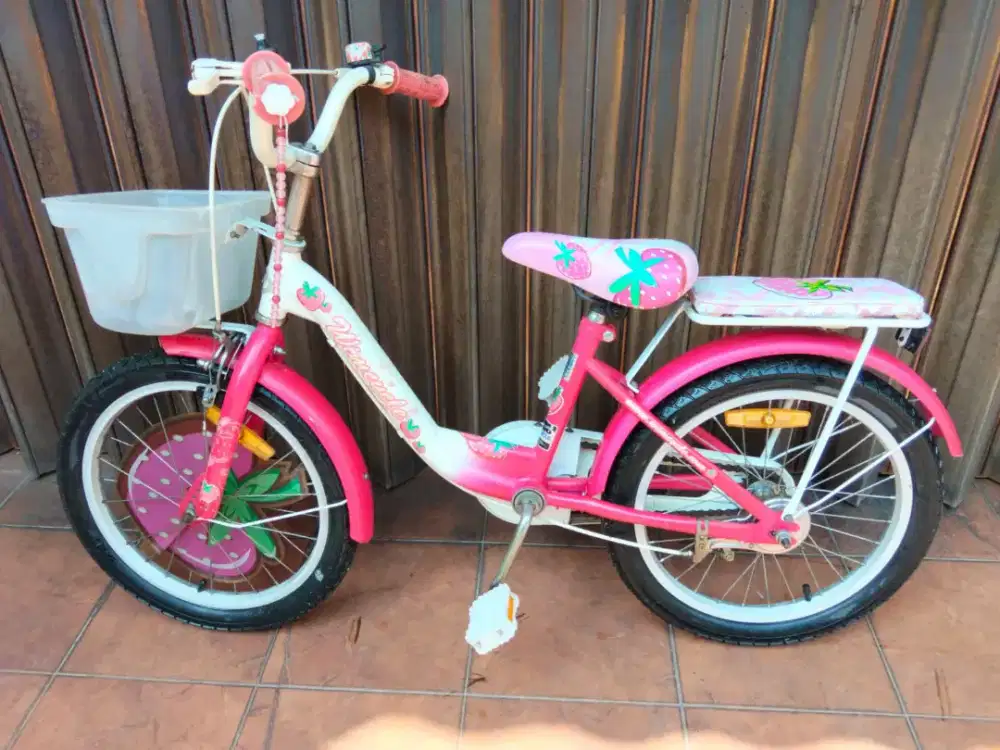 Sepeda anak wim cycle strawbery