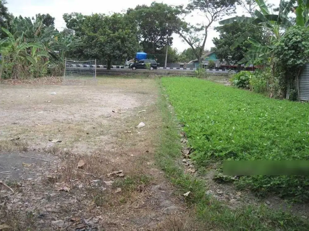 Jual Kavling Cantik Pinggir Jalan Raya Singosaren 3 Yogyakarta