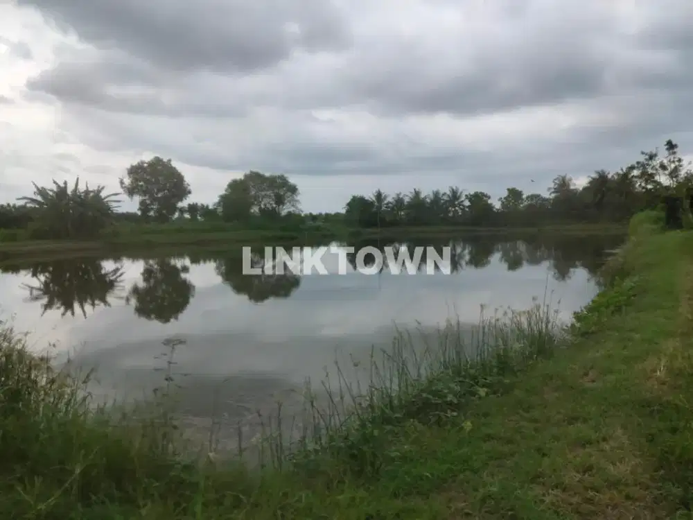 Dijual Tanah Tambak di Saronggi Sumenep Madura