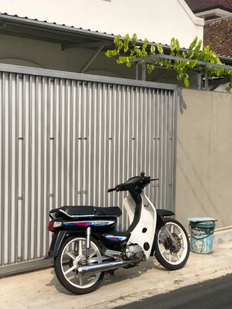 astrea grand bulus 1993
