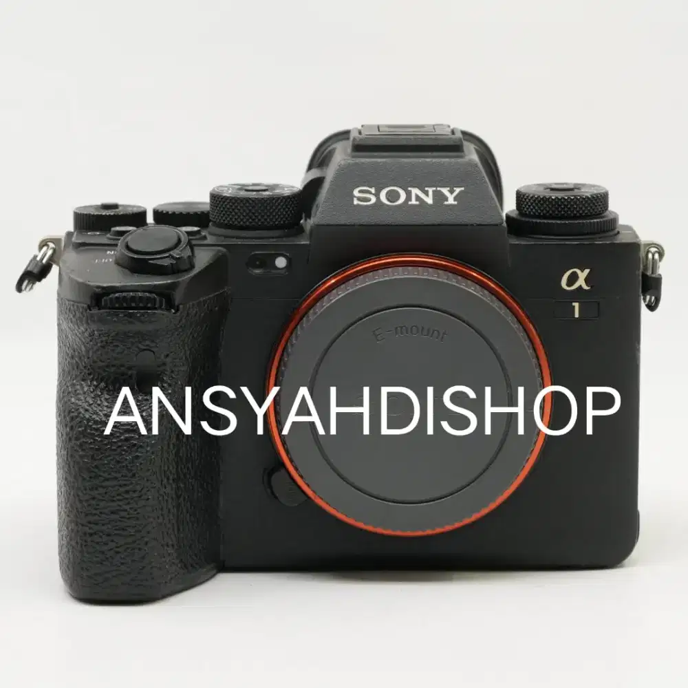 Bng ini Sony A1 ( alpha 1 )