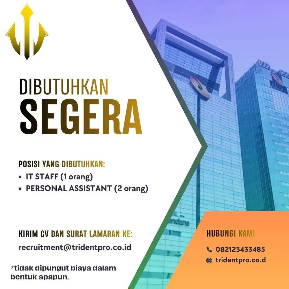 IT STAFF (Full time)