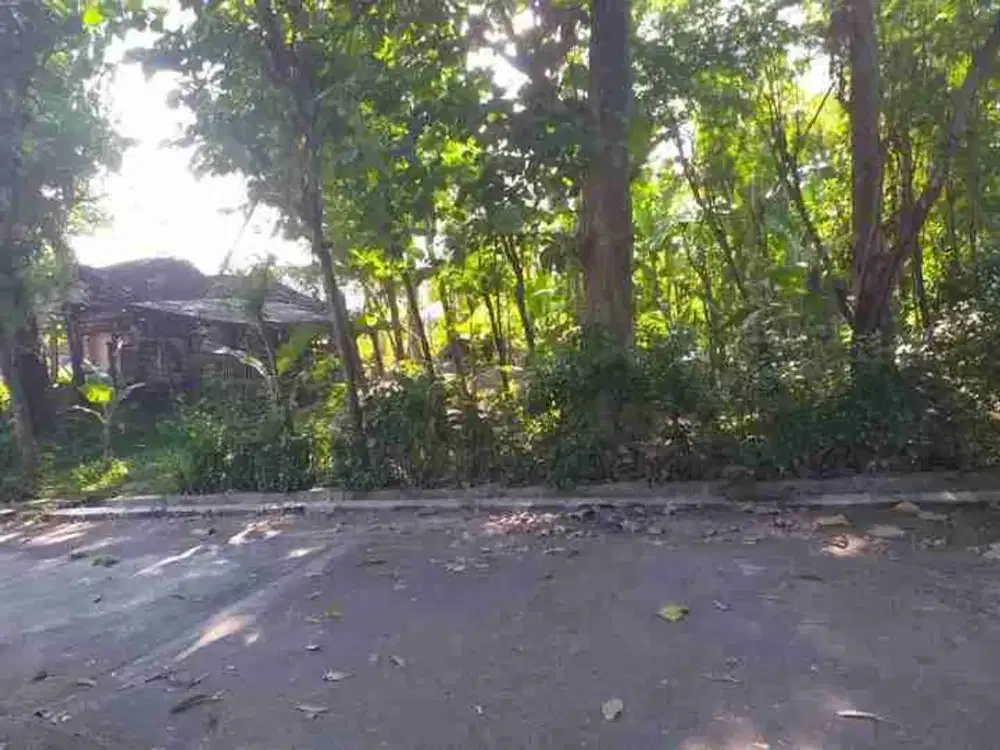 Tanah murah cocok untuk investasi di sadeng gunungpati