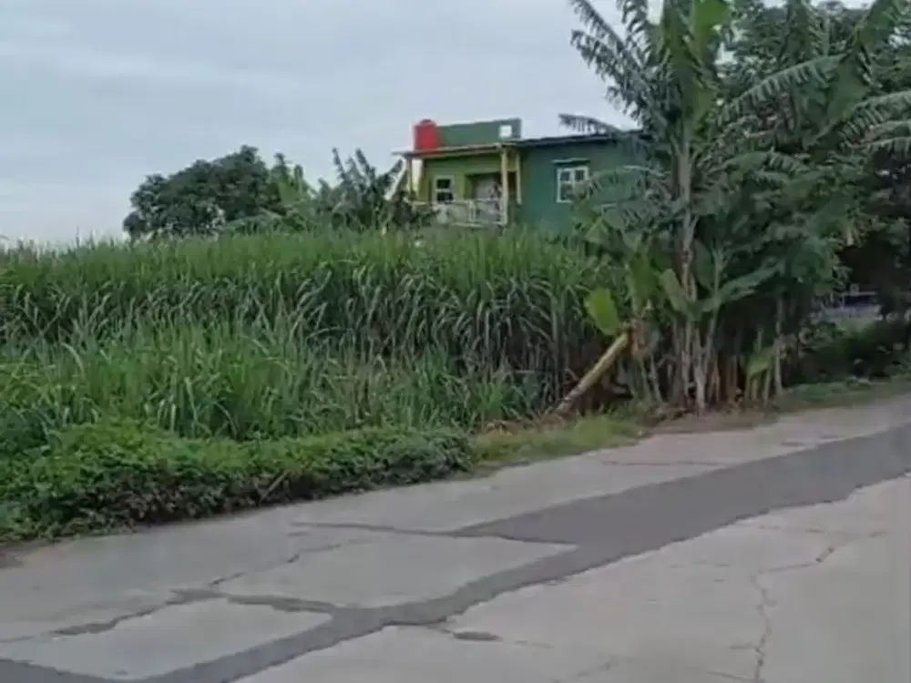 Tanah Mojokerto