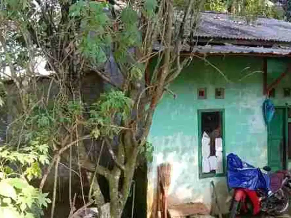 tanah bonus rumah cocok untuk investasi di gunungpati