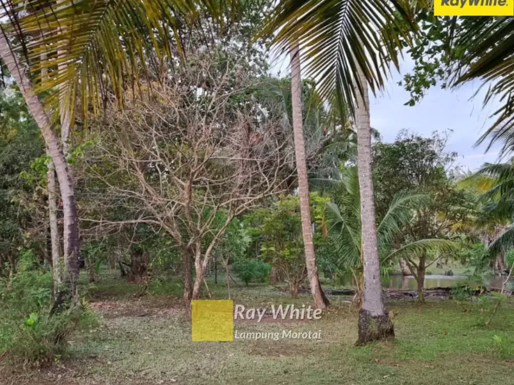Dijual Tanah Di Tarahan, Lampung Selatan (kode : Ay 3572)