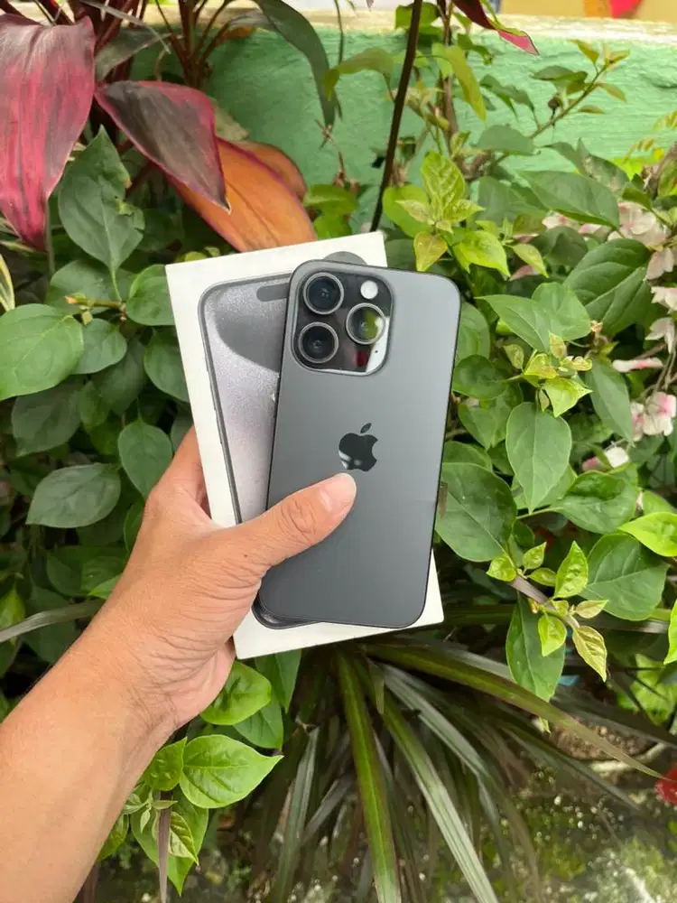 15 Pro 256 Resmi beacukai