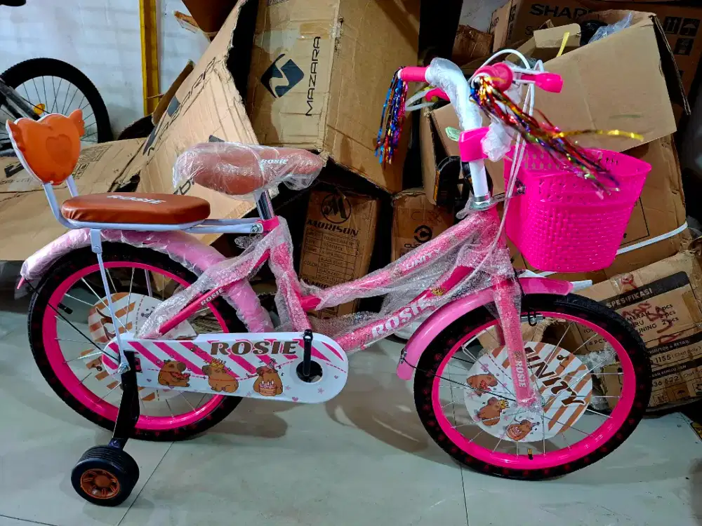 SEPEDA ANAK PEREMPUAN SEPEDA MINI CTB 18 INCH UNITY ( CAPIBARA )