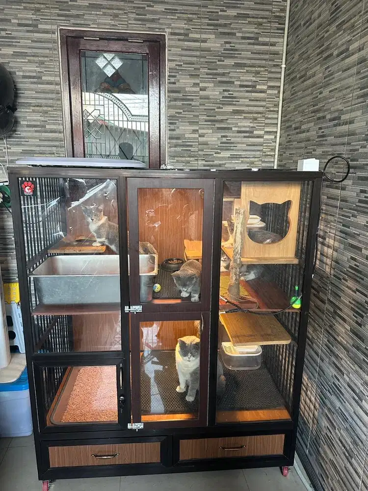Kandang kucing masih bagus
