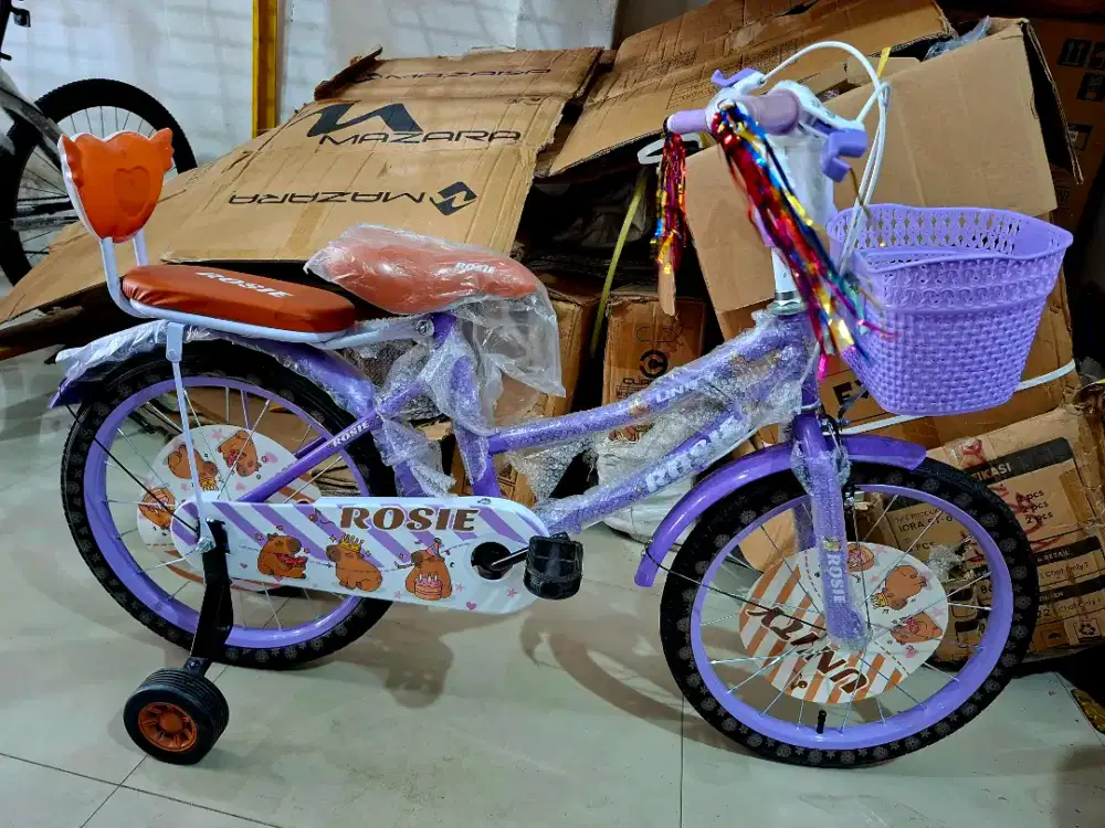 Sepeda Anak Perempuan Cewek Sepeda Mini CTB 18 Inch UNITY ( CAPIBARA )