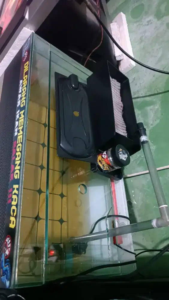 Aquarium  ikan hias