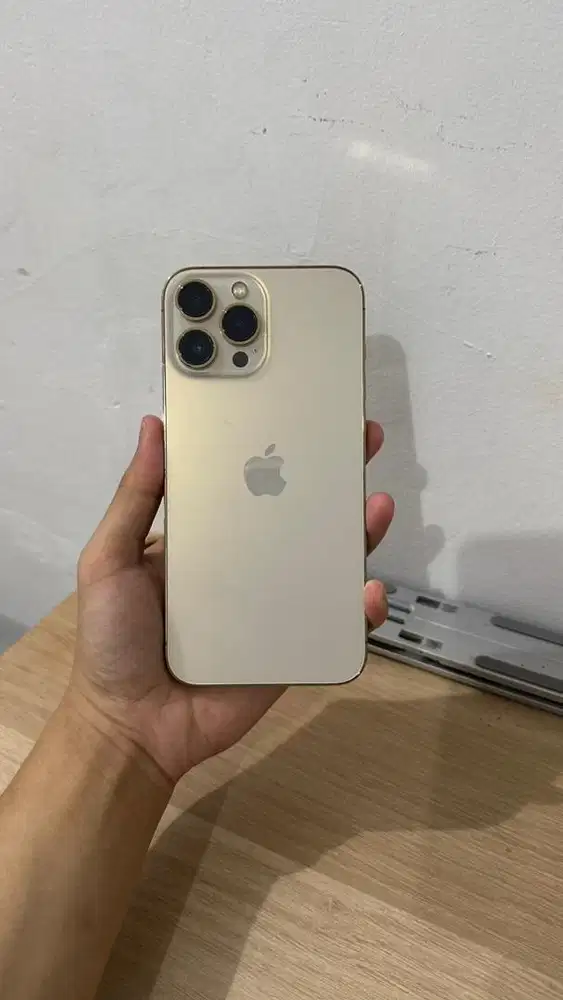 Iphone 13 pro max 512 gb beacukai